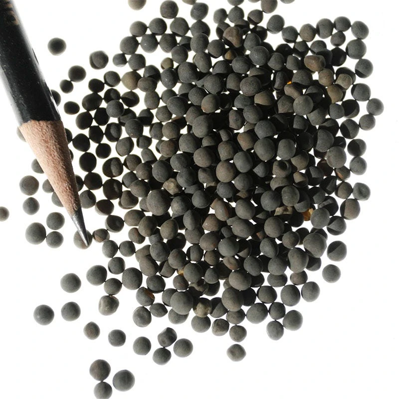 Hairy Vetch Seeds - Image 3