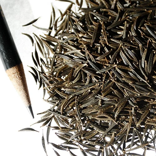 Cosmos Seeds Purity - Image 2