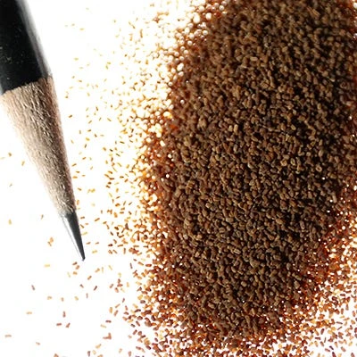 Foxglove Seeds - Image 2