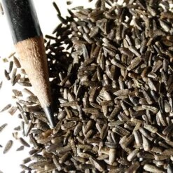 Maximilian Sunflower Seeds