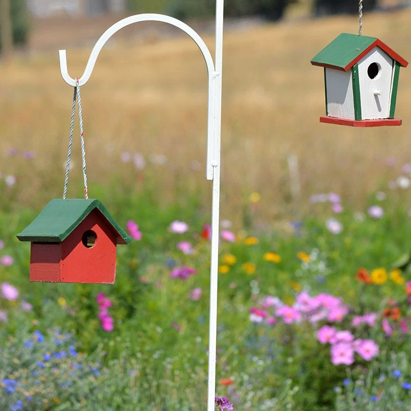 Backyard Birding Wildflower Seed Mix - Image 6