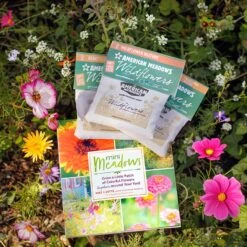 Mini Meadows Wildflower Kit