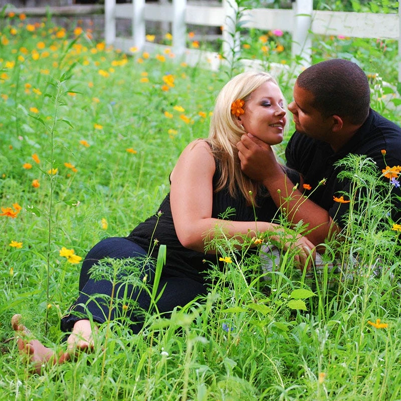 Picket Fence Wildflower Seed Mix - Image 5