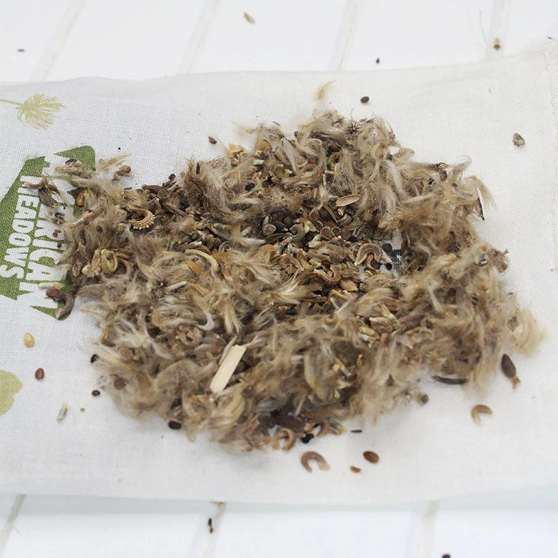 Annual Curb Appeal Wildflower Seed Mix - Image 4